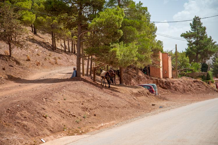 berbère maroc