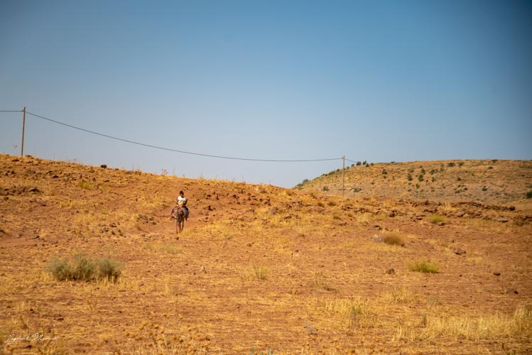 campagne marocaine