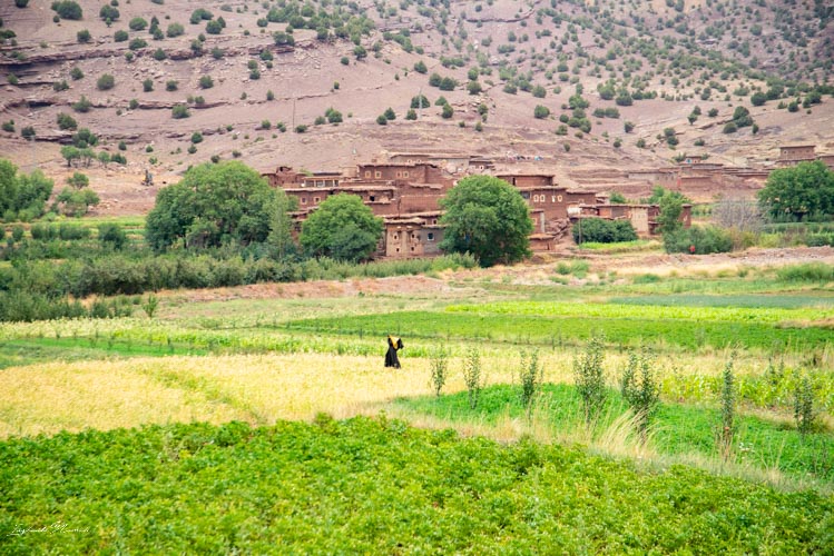 champ vallee heureuse maroc