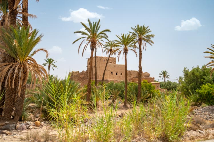 kasbah palmeraie skoura