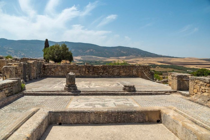 mosaique volubilis