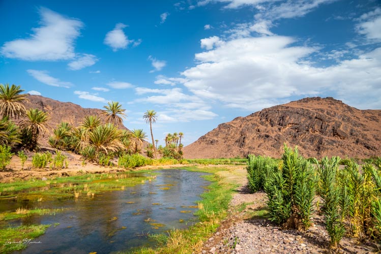 oasis fint maroc