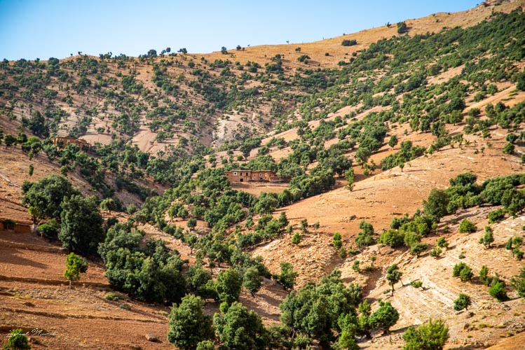 paysage route maroc