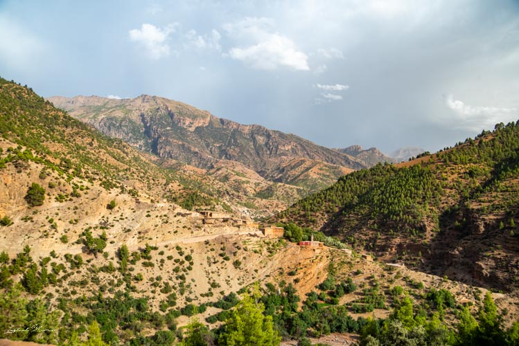 paysage vert maroc