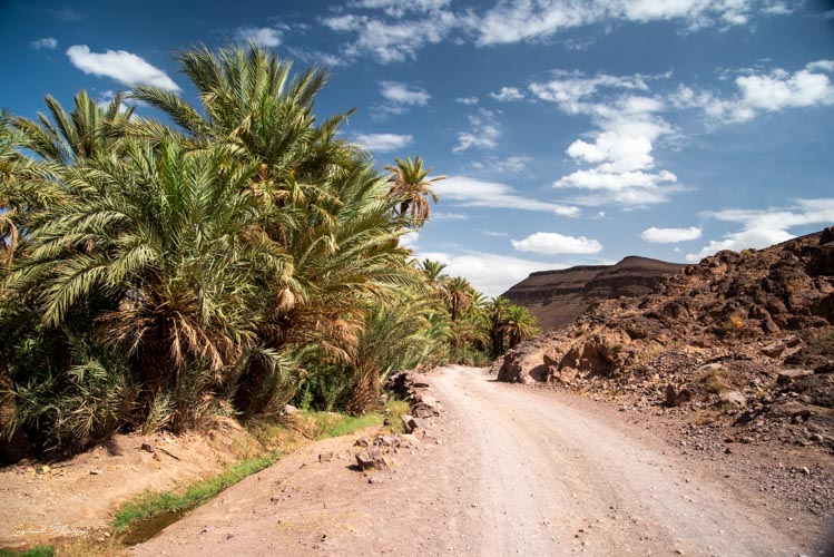 route oasis fint