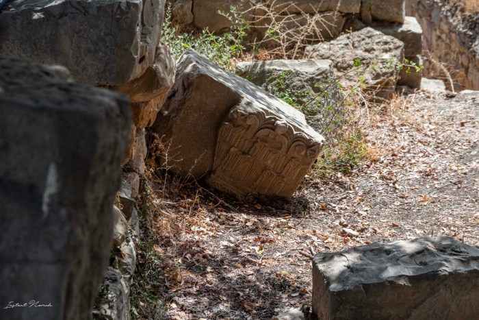 ruines volubilis